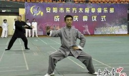 马老师爆料太极视频大全,太极视频大全，一招一式尽在其中