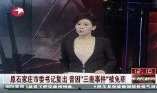 三鹿事件爆料视频最新版,揭开奶粉丑闻真相