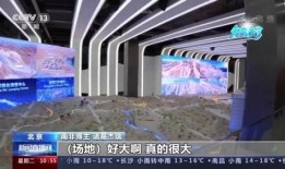 香港博主爆料冬奥会视频,冬奥会幕后精彩瞬间