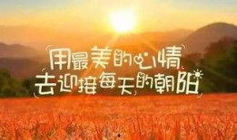 西安早安爆料事件最新,真相揭秘，网络舆论漩涡中的法律与道德边界