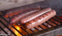 美食烧烤爆料视频大全集,视频大全集带你领略风味盛宴